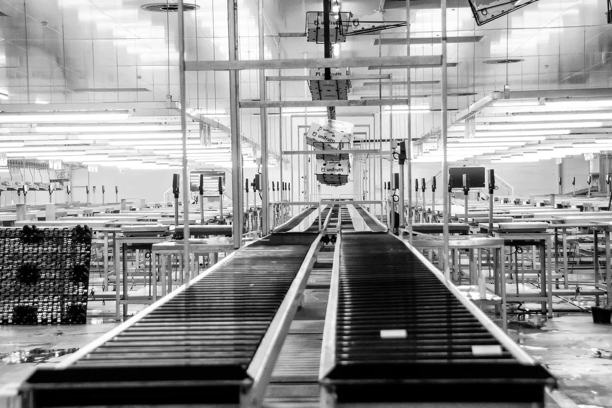 roller conveyor - Panduan Lengkap Roller Conveyor: Jenis, Cara Kerja, dan Aplikasi